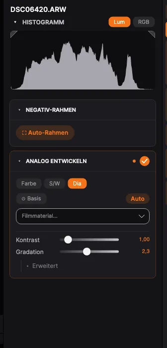Das Analog-entwickeln-Panel: Umwandlung, Filmtyp, Basis- und Film-Tonwertregler