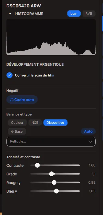 Le panneau Développement argentique : conversion, type de film, base et contrôles de tonalité du film