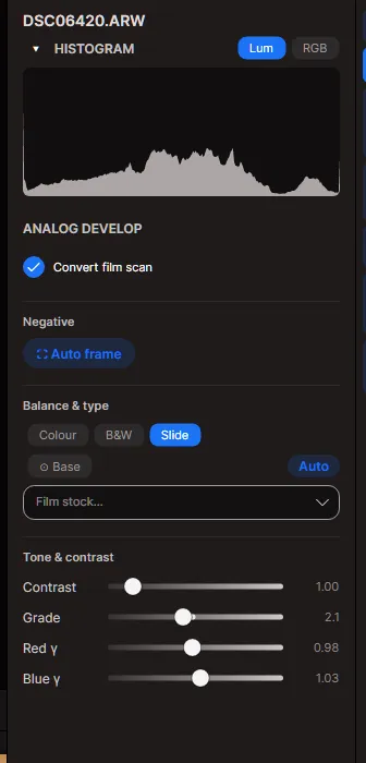 The Analog develop panel: convert, film type, base and film tone controls