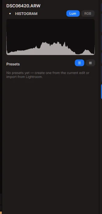 The Presets panel